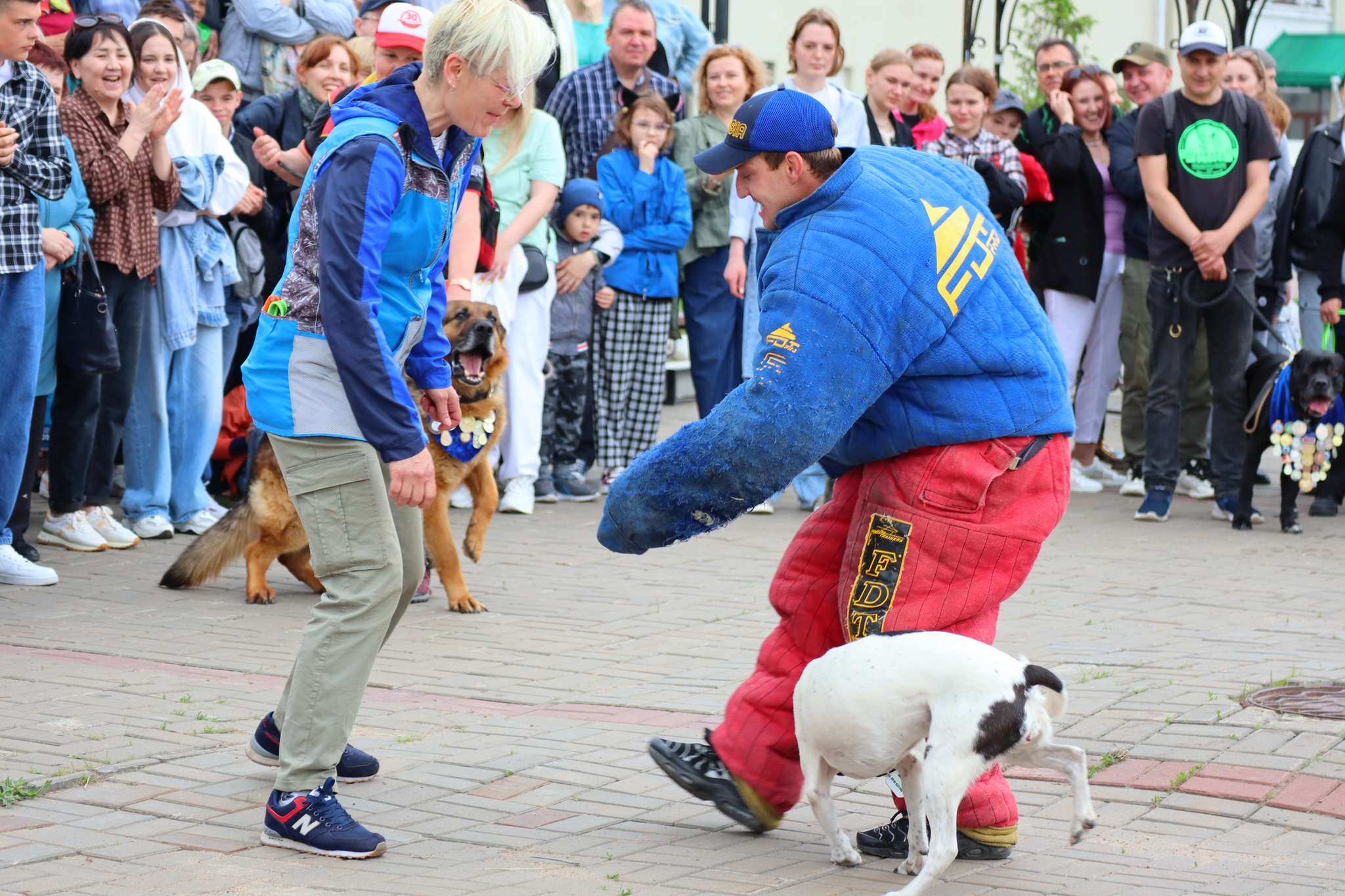 Dog training in Omsk - OTSSS - Training, Dog, Dog lovers, Puppies, Omsk, Longpost