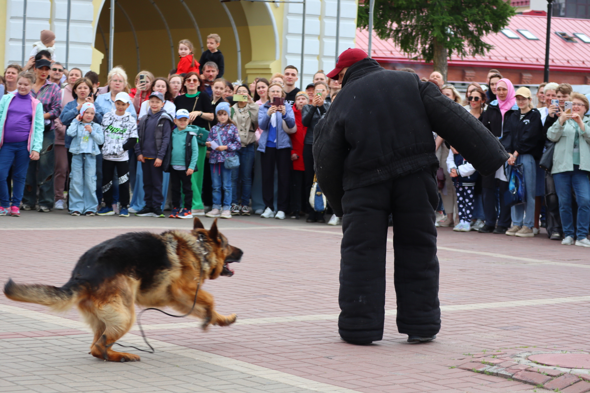 Dog training in Omsk - OTSSS - Training, Dog, Dog lovers, Puppies, Omsk, Longpost