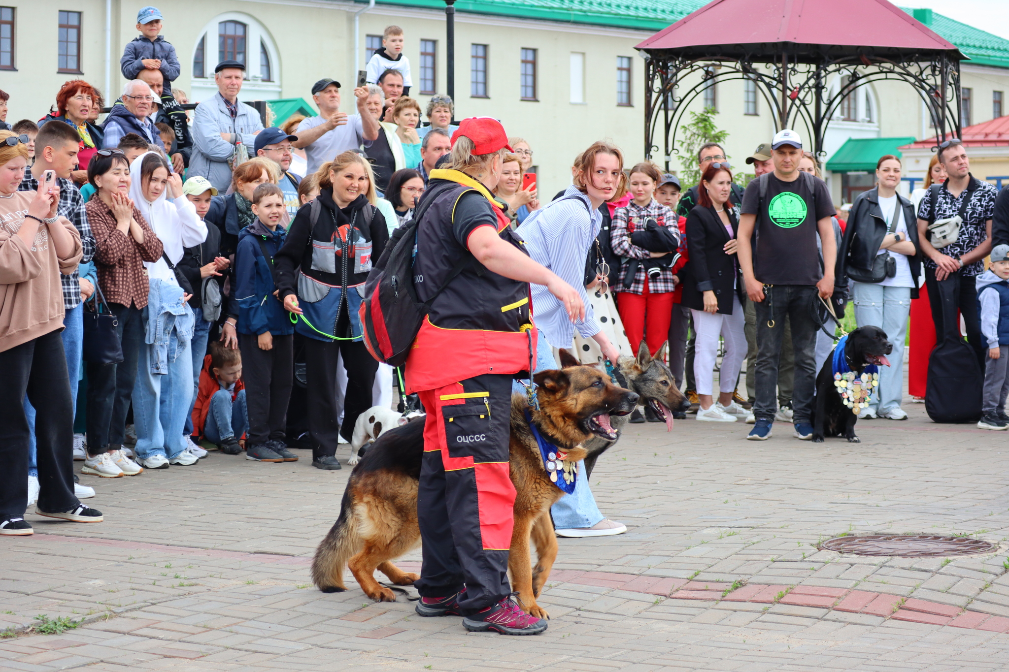 Dog training in Omsk - OTSSS - Training, Dog, Dog lovers, Puppies, Omsk, Longpost