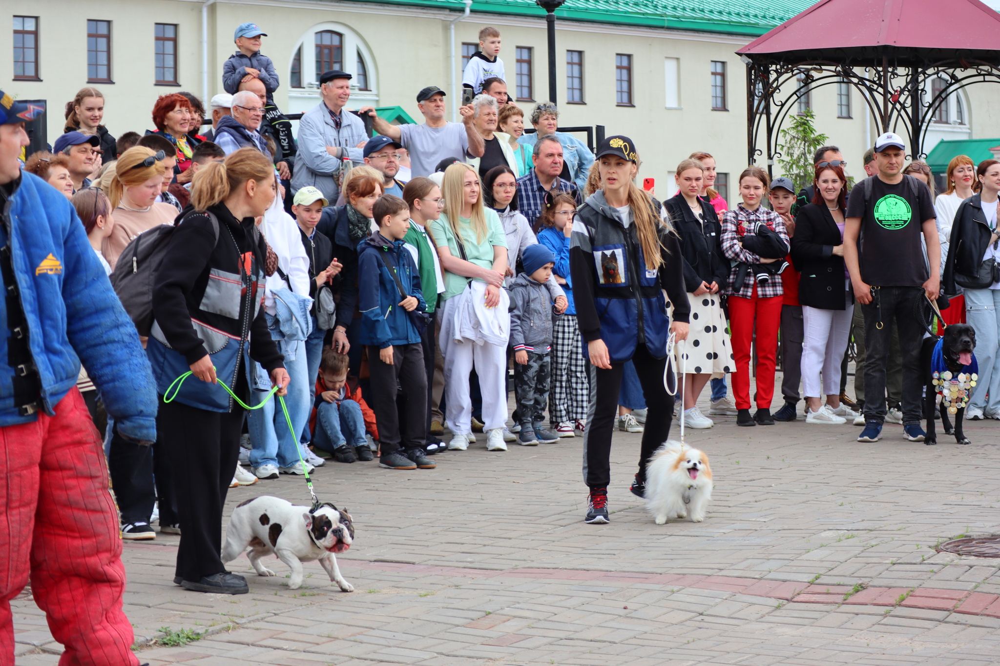 Dog training in Omsk - OTSSS - Training, Dog, Dog lovers, Puppies, Omsk, Longpost