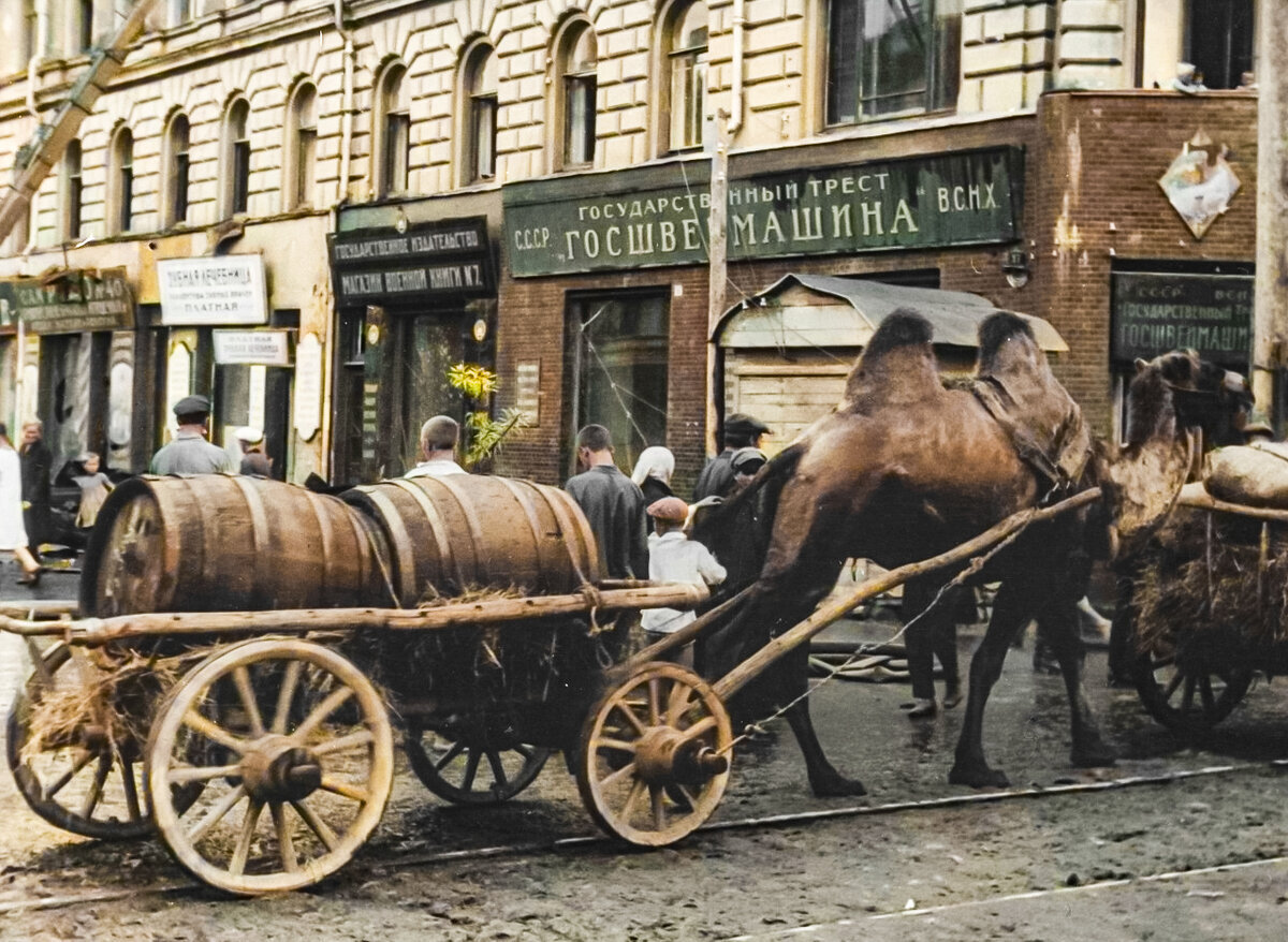 Подборка фотографий из прошлого, которые заставляют удивиться. 20 раскрашенных фотографий из ХХ века. Часть II - Моё, Старое фото, Историческое фото, Колоризация, Фотография, 20 век, 19 век, Длиннопост