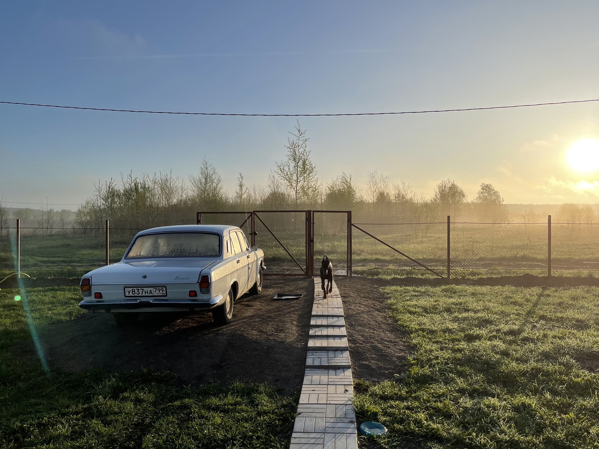 Volga 24ka 1973 onwards) - My, Longpost, The photo, Car, Gaz-24 Volga, Rarity