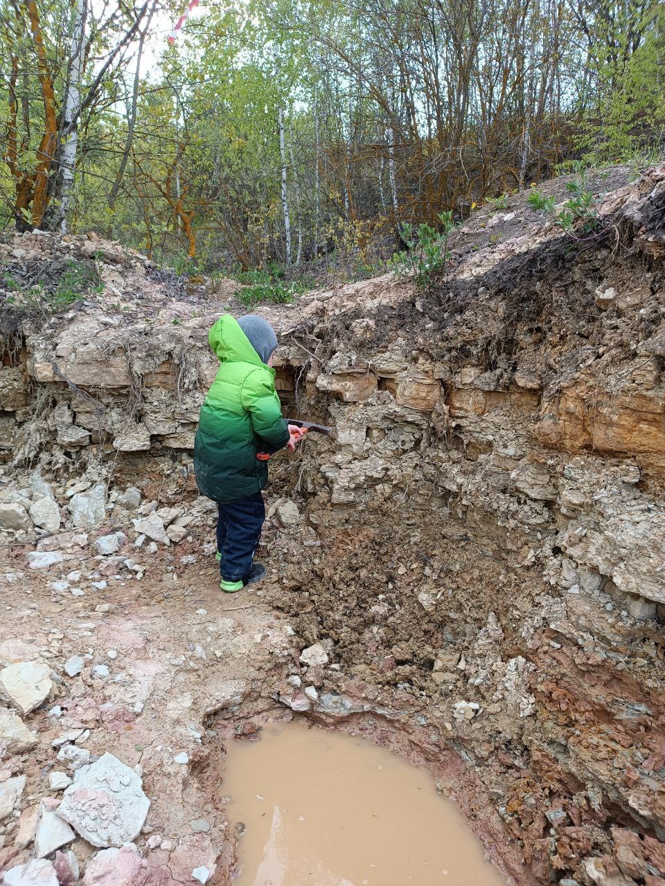 With a child 1.8 to the quarry. Digging for fossils. sea ??lilies - My, Nauchpop, Paleontology, Parents and children, Biology, Geology, Travel across Russia, Longpost