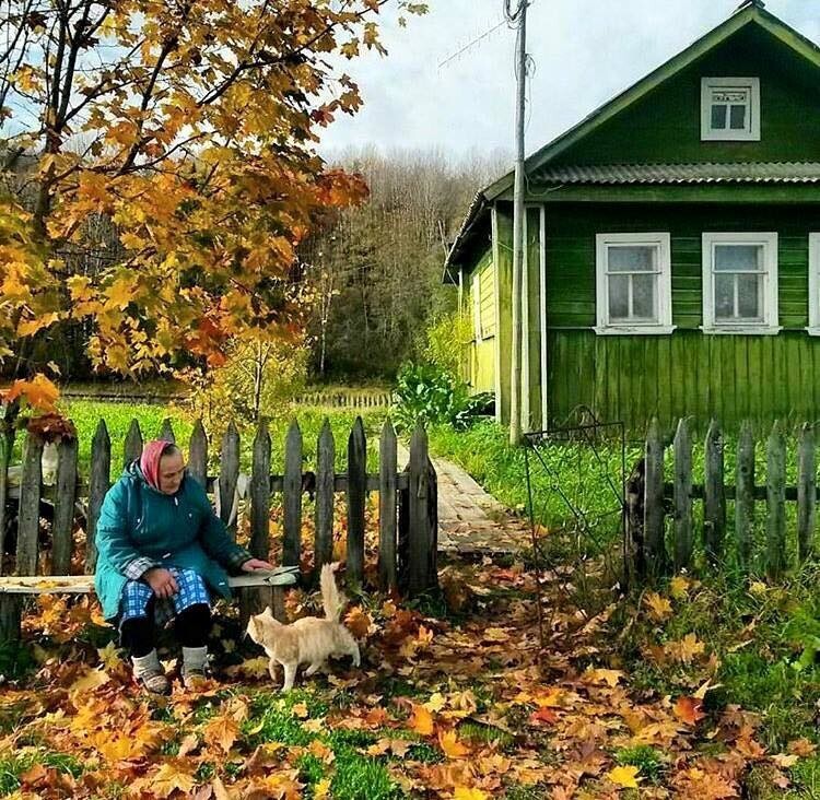 For many, probably, in their youth the dacha was hell - Life stories, Situation, Village, Village, A life, Grandmother, Dacha, Grandfather, Everyday life, Eat, Memories, The senses