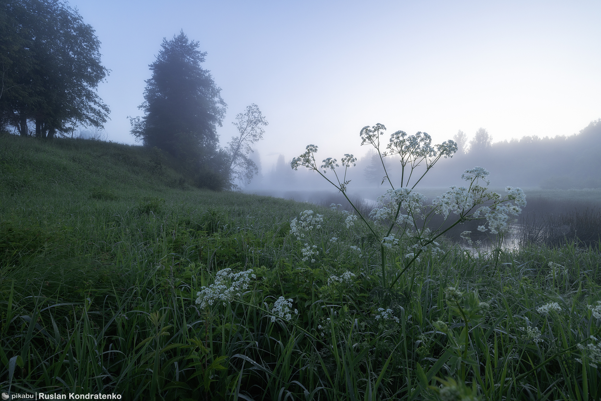 Foggy dawn on the Lemovzhe River - My, The photo, Canon, dawn, Fog, Longpost