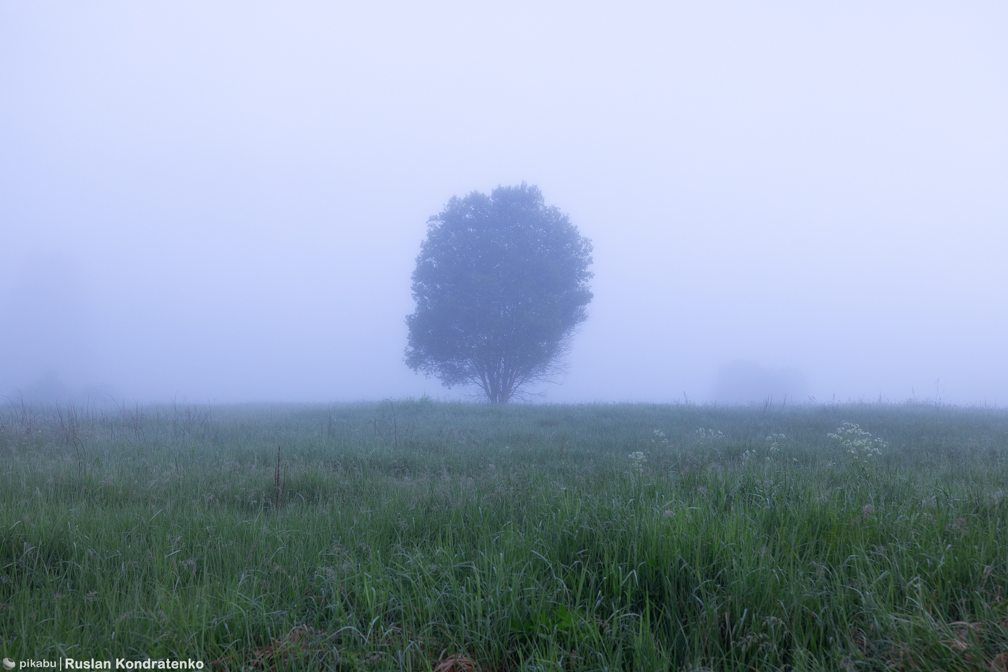 Foggy dawn on the Lemovzhe River - My, The photo, Canon, dawn, Fog, Longpost