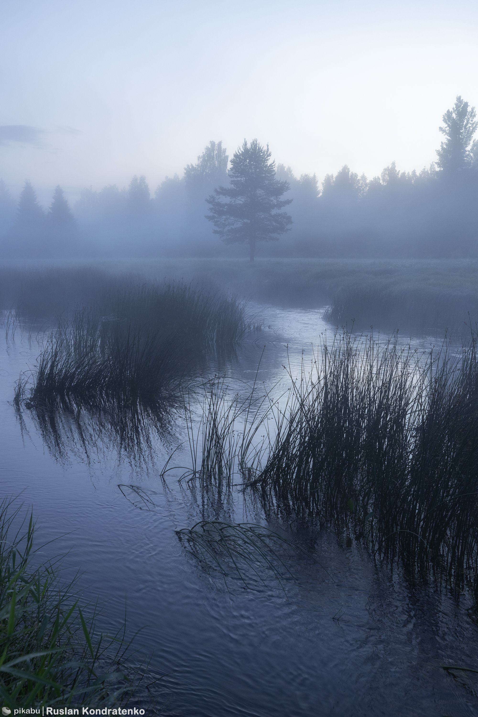 Foggy dawn on the Lemovzhe River - My, The photo, Canon, dawn, Fog, Longpost