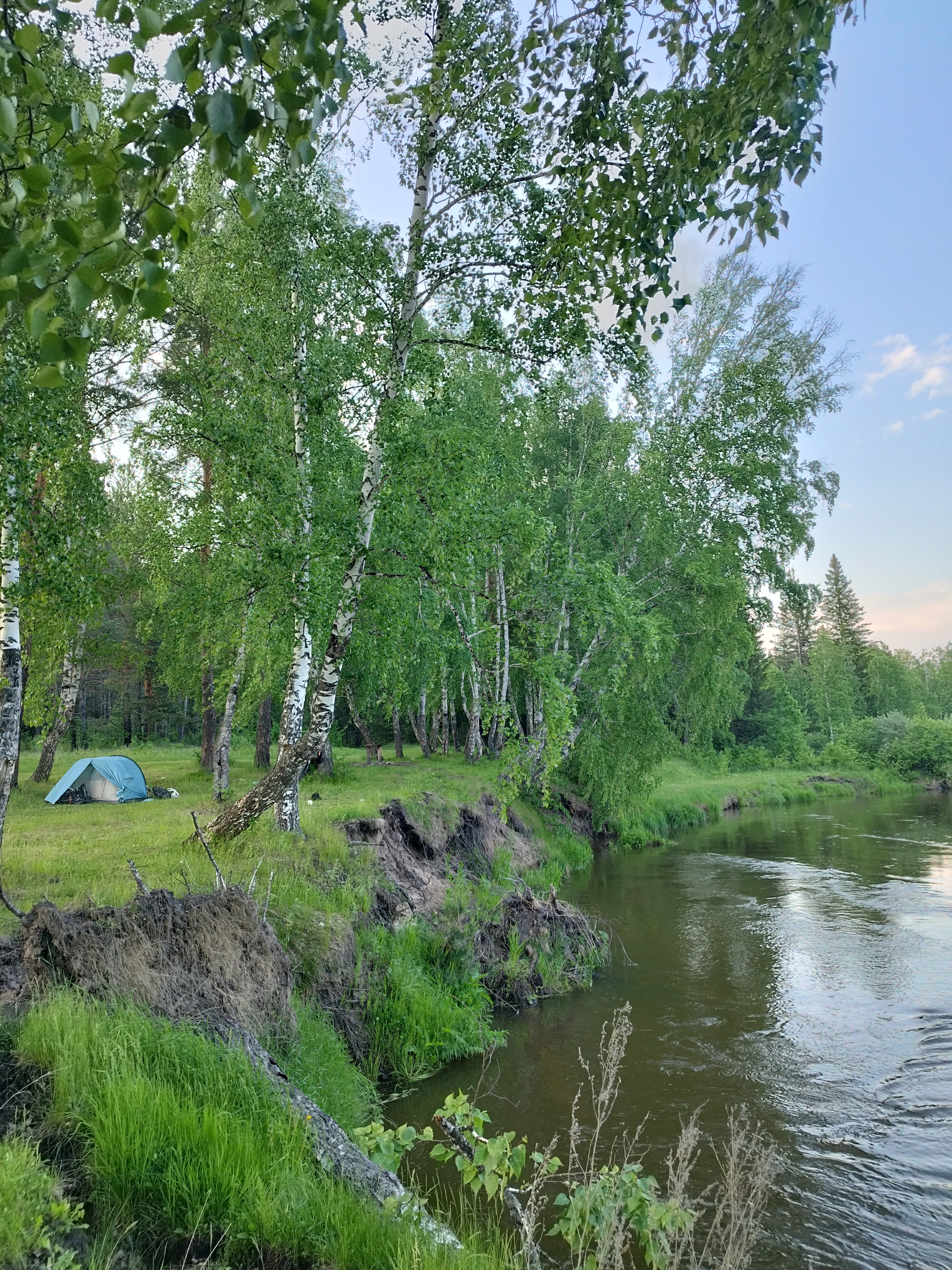 Perfect evening - My, Tourism, Tent, Cycling, Evening, Krasnoyarsk region