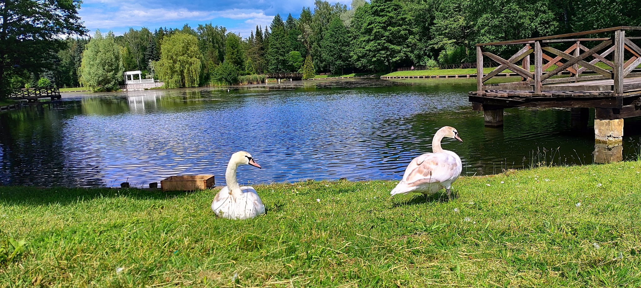 Botanical garden in Minsk - Minsk, Republic of Belarus, Botanical Garden, Tourism, Longpost