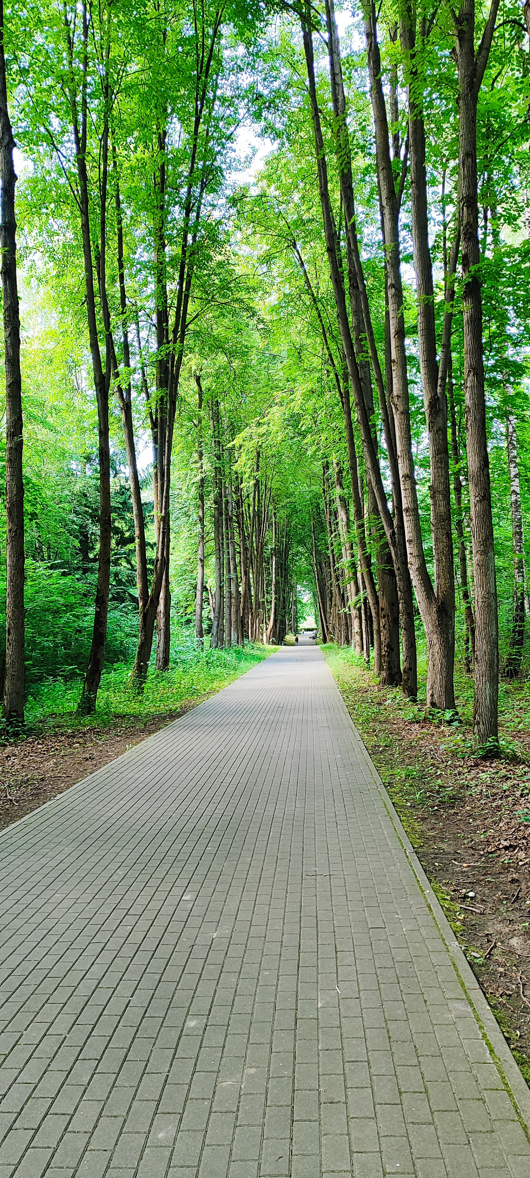 Botanical garden in Minsk - Minsk, Republic of Belarus, Botanical Garden, Tourism, Longpost