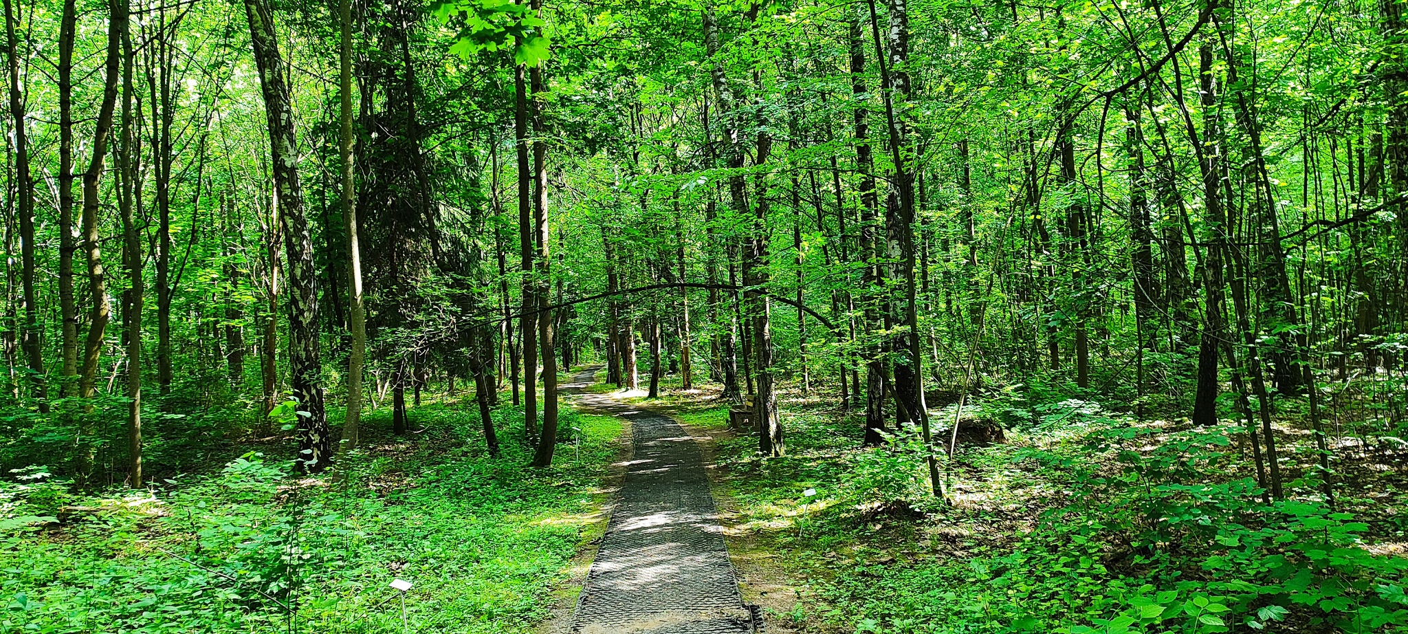 Botanical garden in Minsk - Minsk, Republic of Belarus, Botanical Garden, Tourism, Longpost