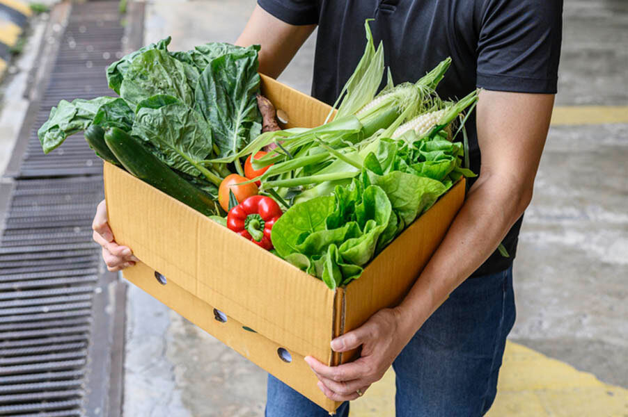 Food processing: from shells and peels into valuable materials - Scientists, Ecology, Research, The science, Garbage, Yandex Zen (link), Longpost