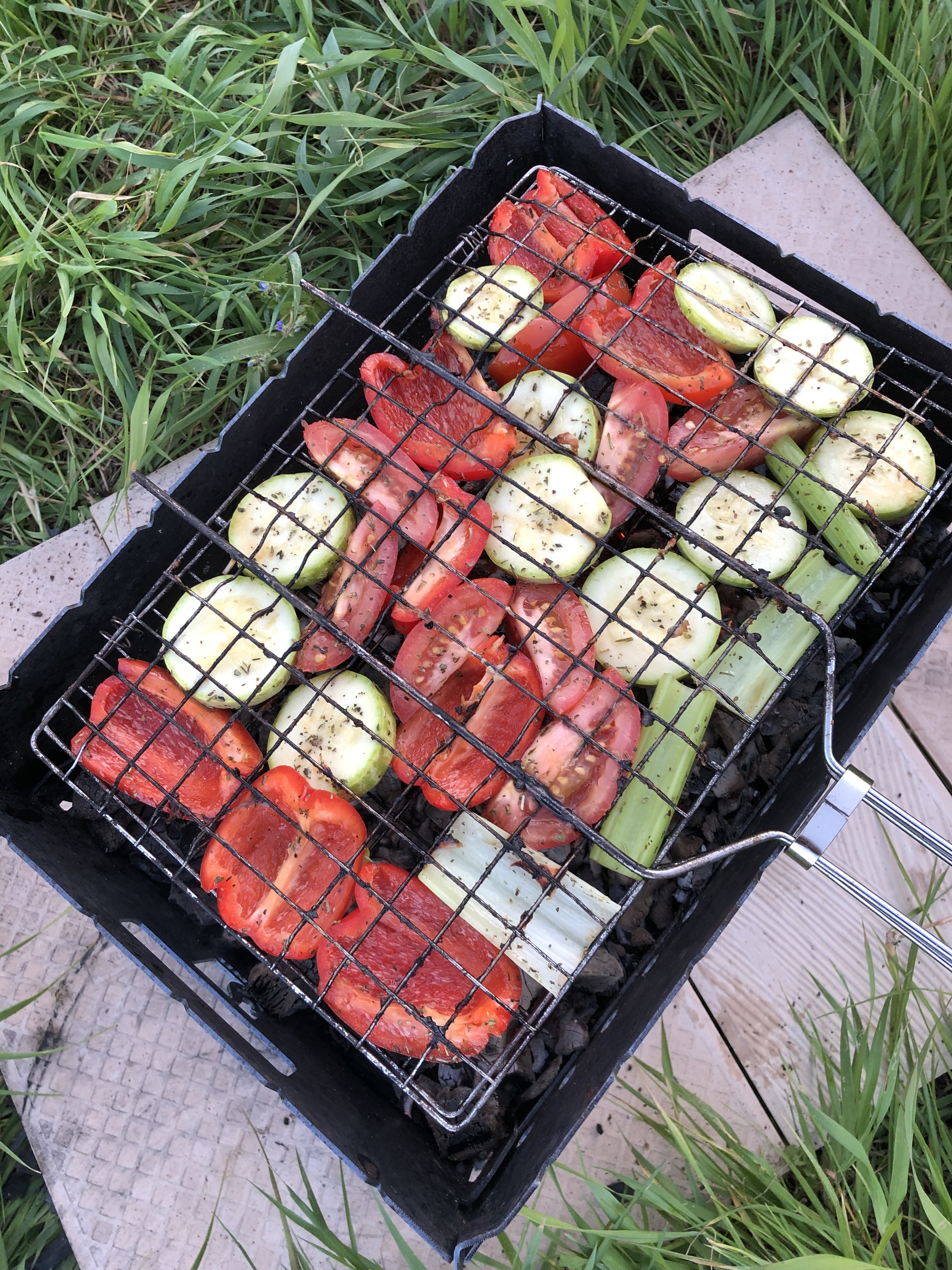 НЕ шашлык, а мясо на углях - Моё, Готовка на природе, Шашлык, Рецепт, Мясо, Овощи, Природа, Отдых, Отдых на природе, Семейный отдых, Пятница, Выходные, Видео, Вертикальное видео, Длиннопост, Еда