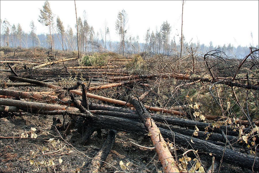 Forest fire in Tolyatti in 2010 - My, Fire, The rescue, Smoke, Evacuation, self-rescuer, Danger, Video, Youtube, Longpost, Forest fires