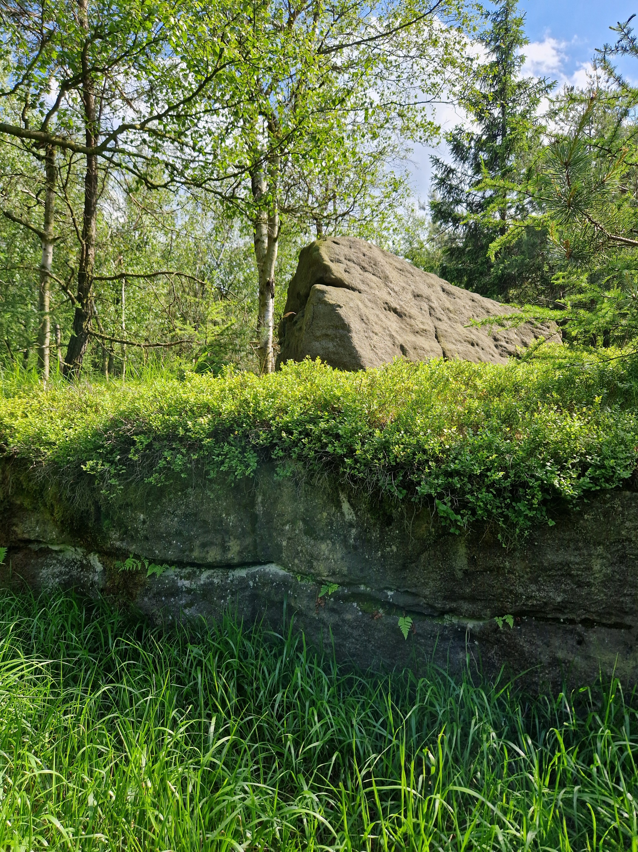 Family weekend in nature - My, Drive, Family holiday, Weekend, Together, Czech, The mountains, Pokatushki, Landscape, Butterfly, Camping, Video, Vertical video, Longpost, Macro photography, Open spaces