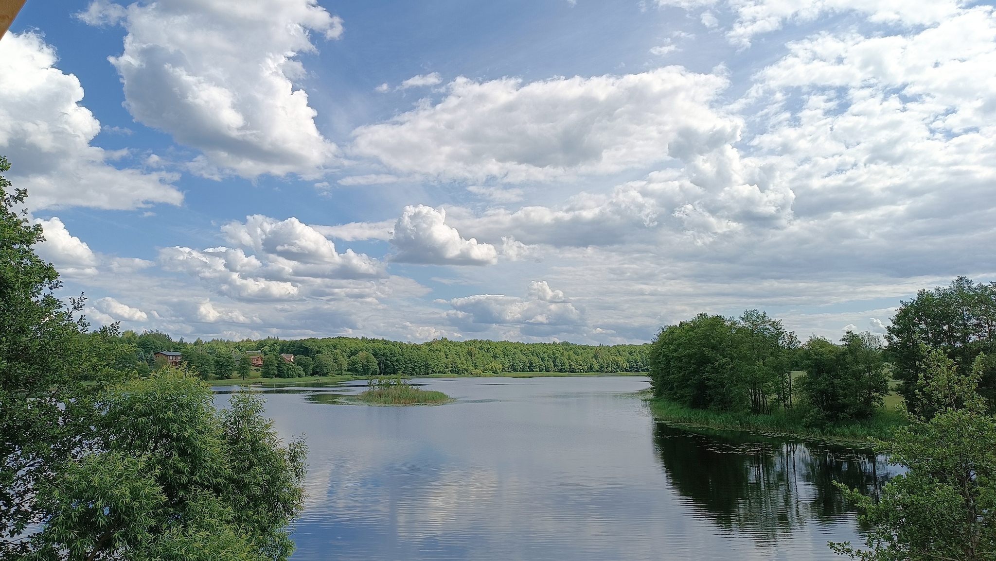 Belarus. Lake. Clouds - My, Republic of Belarus, Summer, Lake, Swans, Strawberry, Seashells, Clouds, Reflection, Longpost