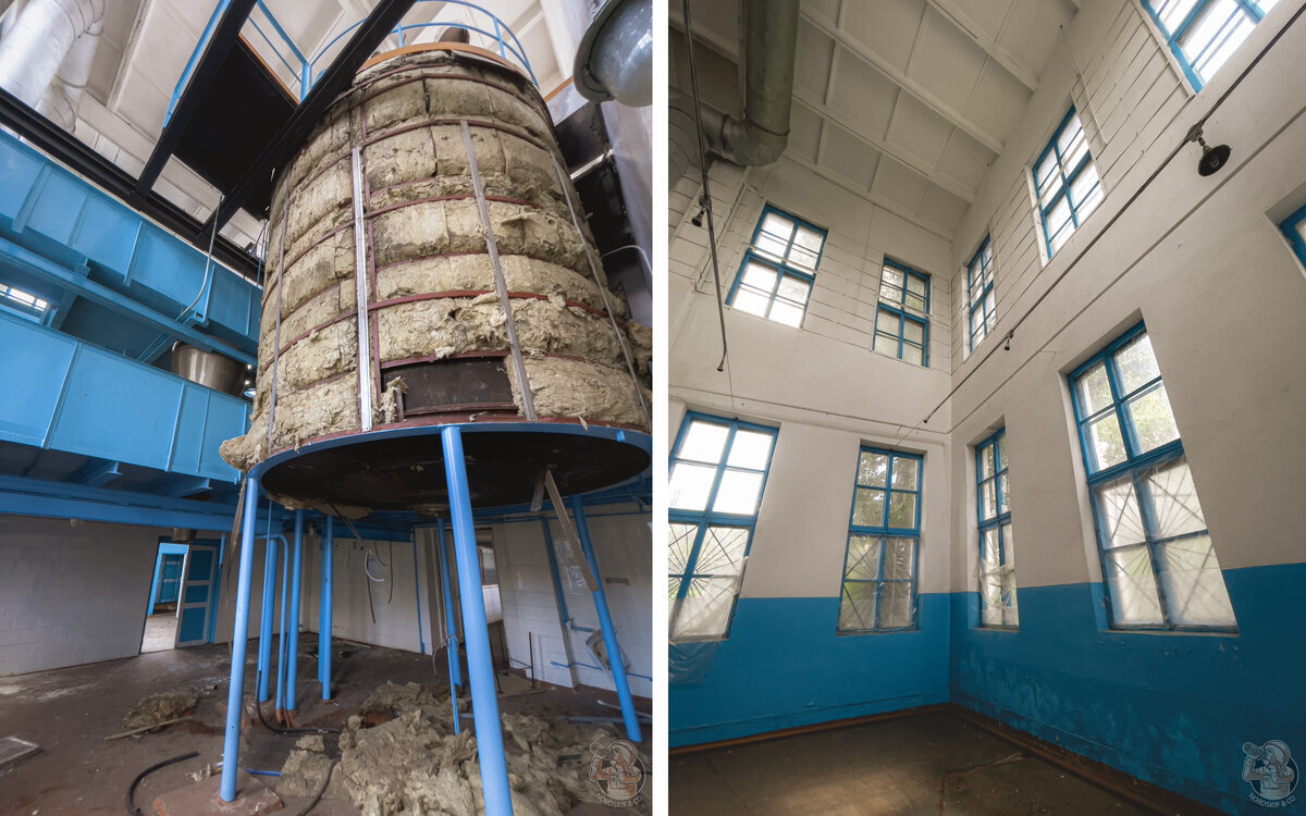 On the issue of “cheap eggs” - I took a walk through an abandoned production facility worth half a billion rubles - My, Abandoned, Economy, Ecology, Production, Longpost