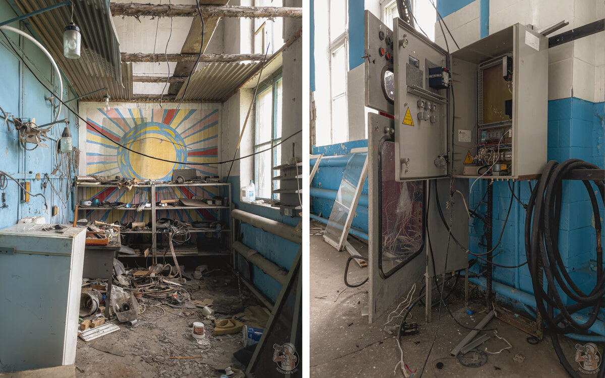 On the issue of “cheap eggs” - I took a walk through an abandoned production facility worth half a billion rubles - My, Abandoned, Economy, Ecology, Production, Longpost