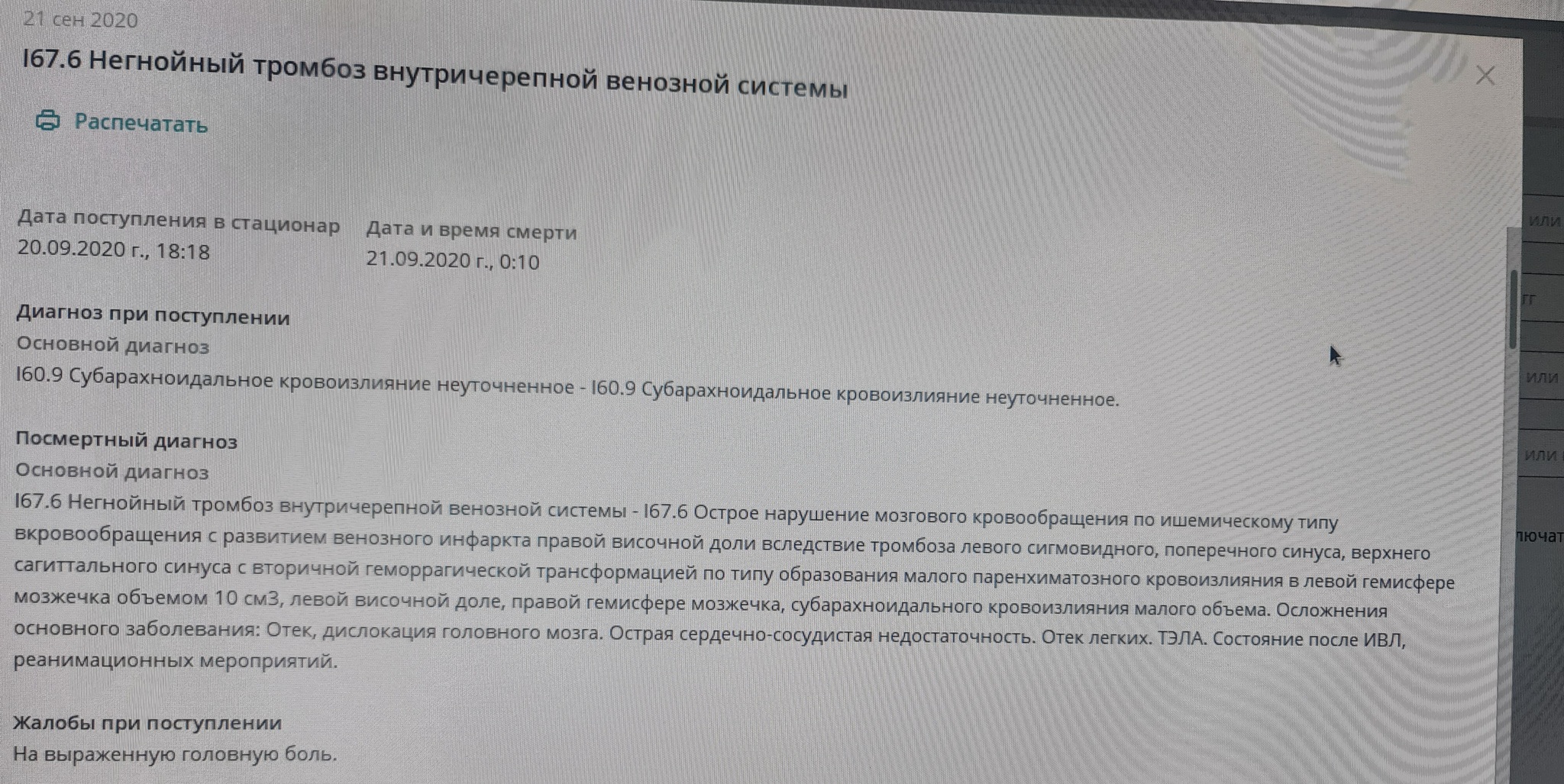 Когда пушистый зверек подкрался незаметно. Или как иногда важны любые  детали | Пикабу