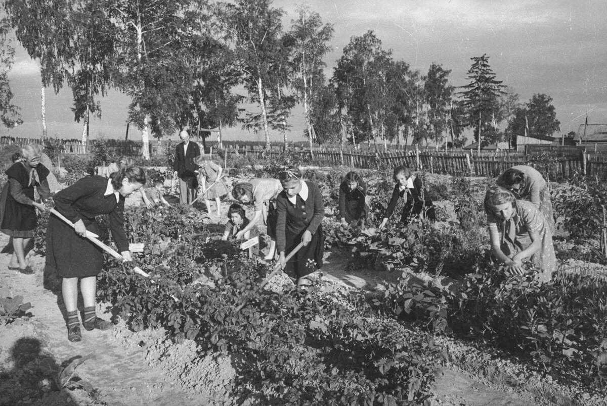 Всех с днём юного натуралиста - Жизнь, Мир, Юннаты, Детство в СССР, Время, Люди, Длиннопост, Видео