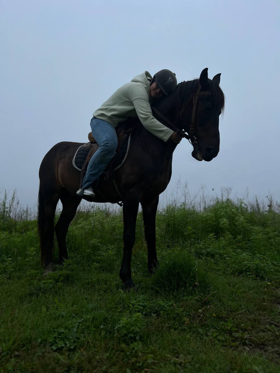 Equestrian - Mobile photography, Horses, Primorsky Krai, Longpost