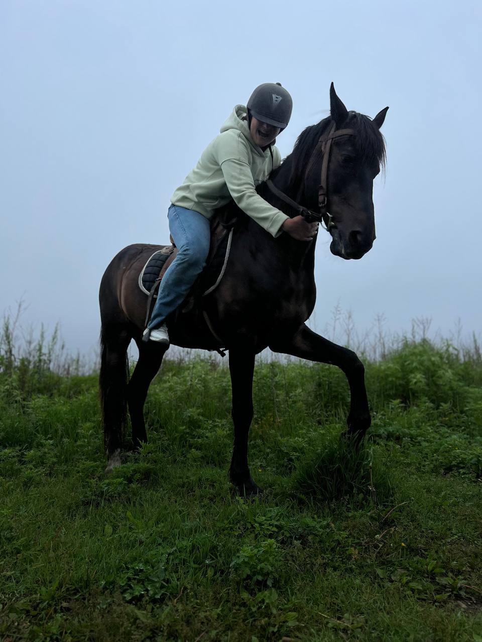 Equestrian - Mobile photography, Horses, Primorsky Krai, Longpost