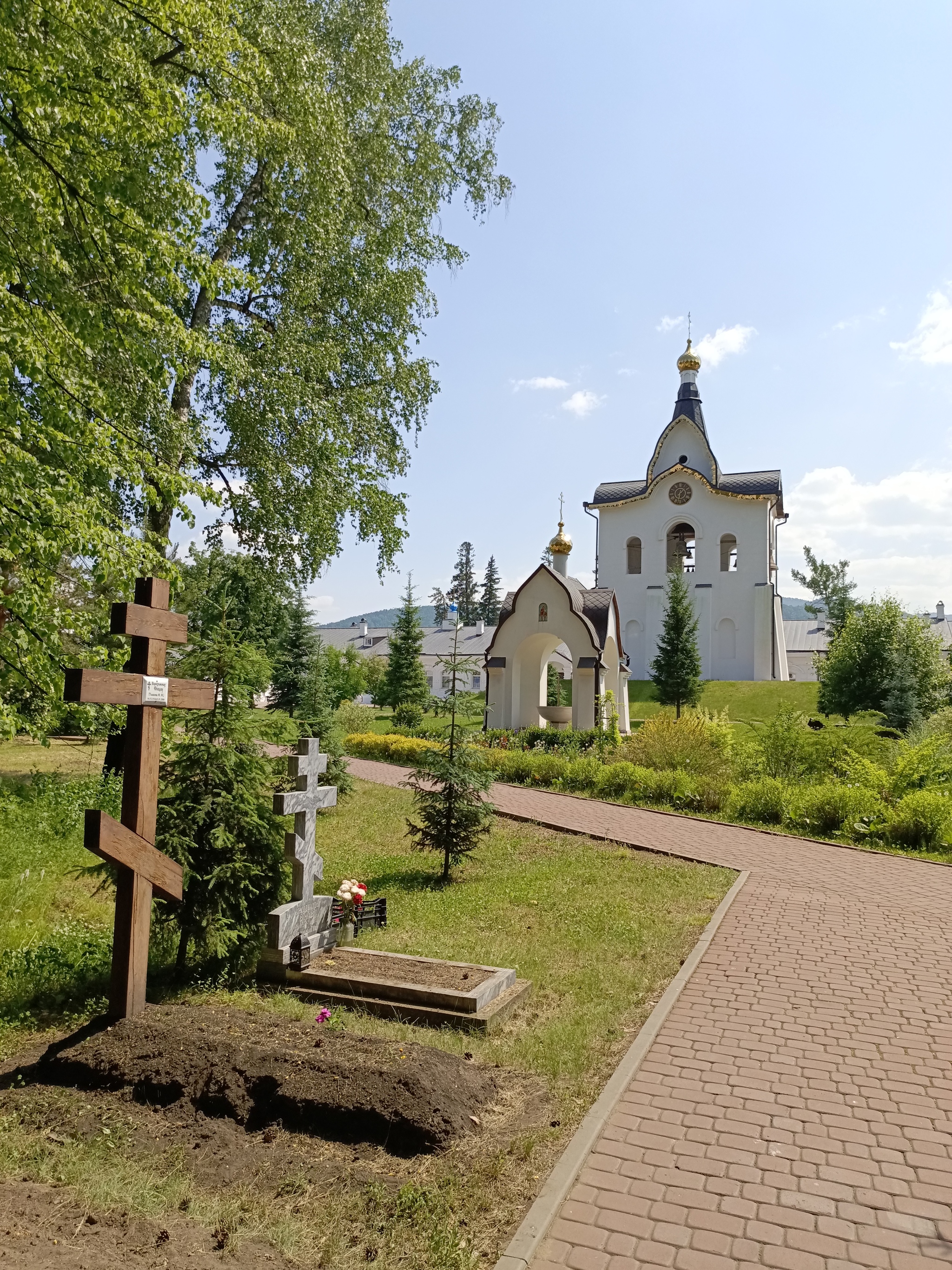 Выходные - Красноярск, Енисей, Отдых, Выходные, Лето, Завтрак, Мобильная фотография, Настроение, Растения, Утро, Длиннопост