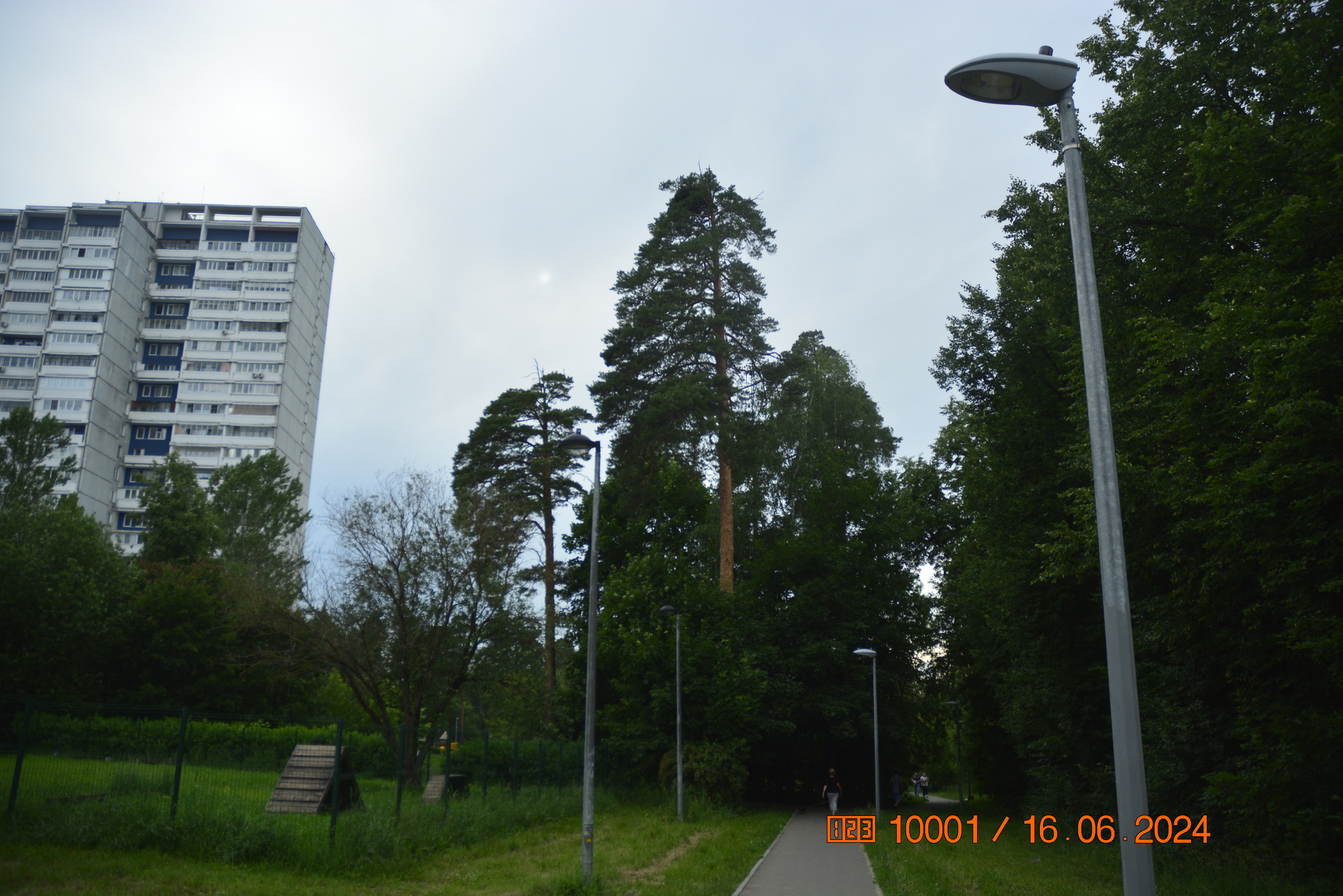 10001•Zelenograd and Kaminoki•160624 - My, Moscow, City walk, The photo, Public transport, Zelenograd, Longpost