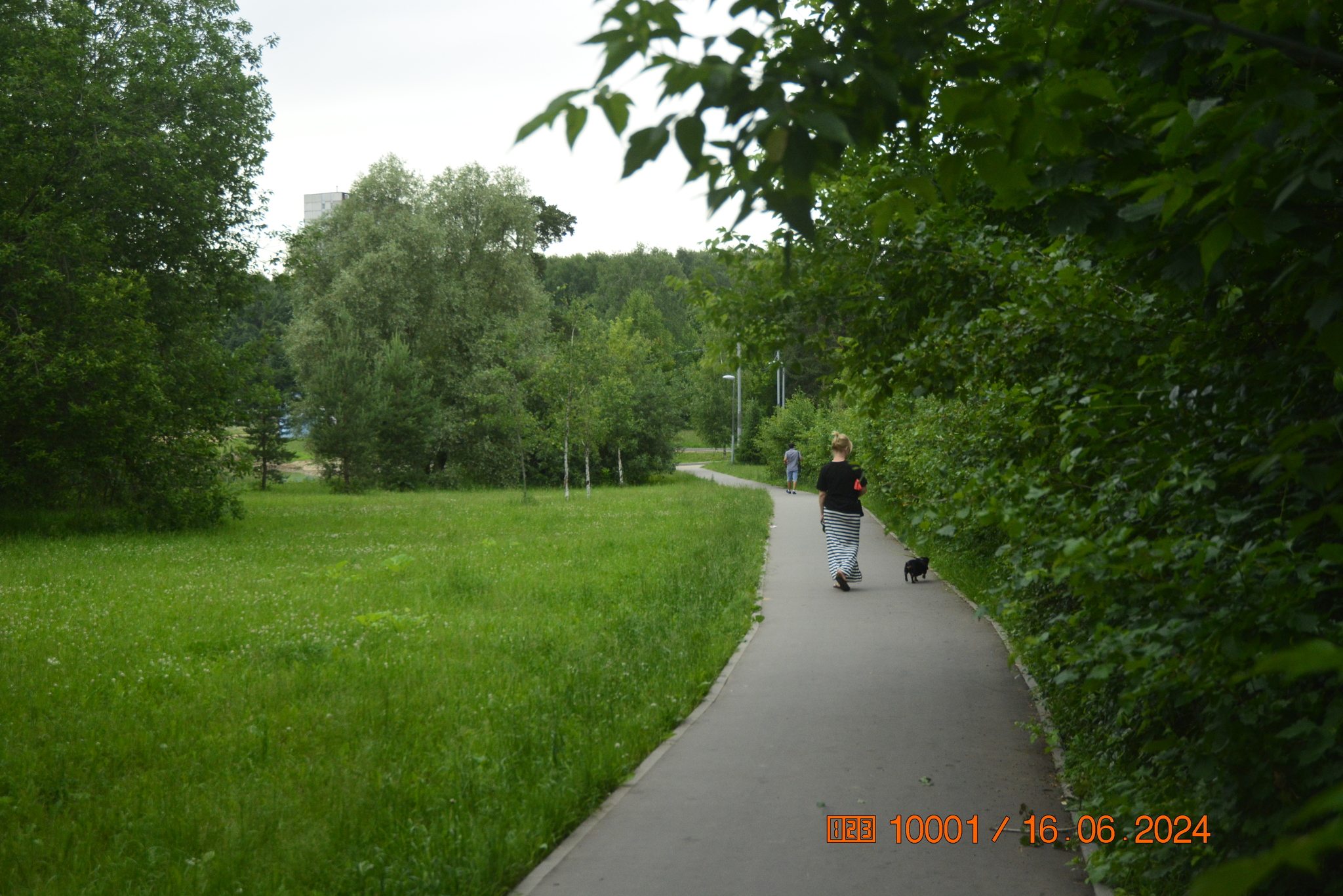 10001•Zelenograd and Kaminoki•160624 - My, Moscow, City walk, The photo, Public transport, Zelenograd, Longpost