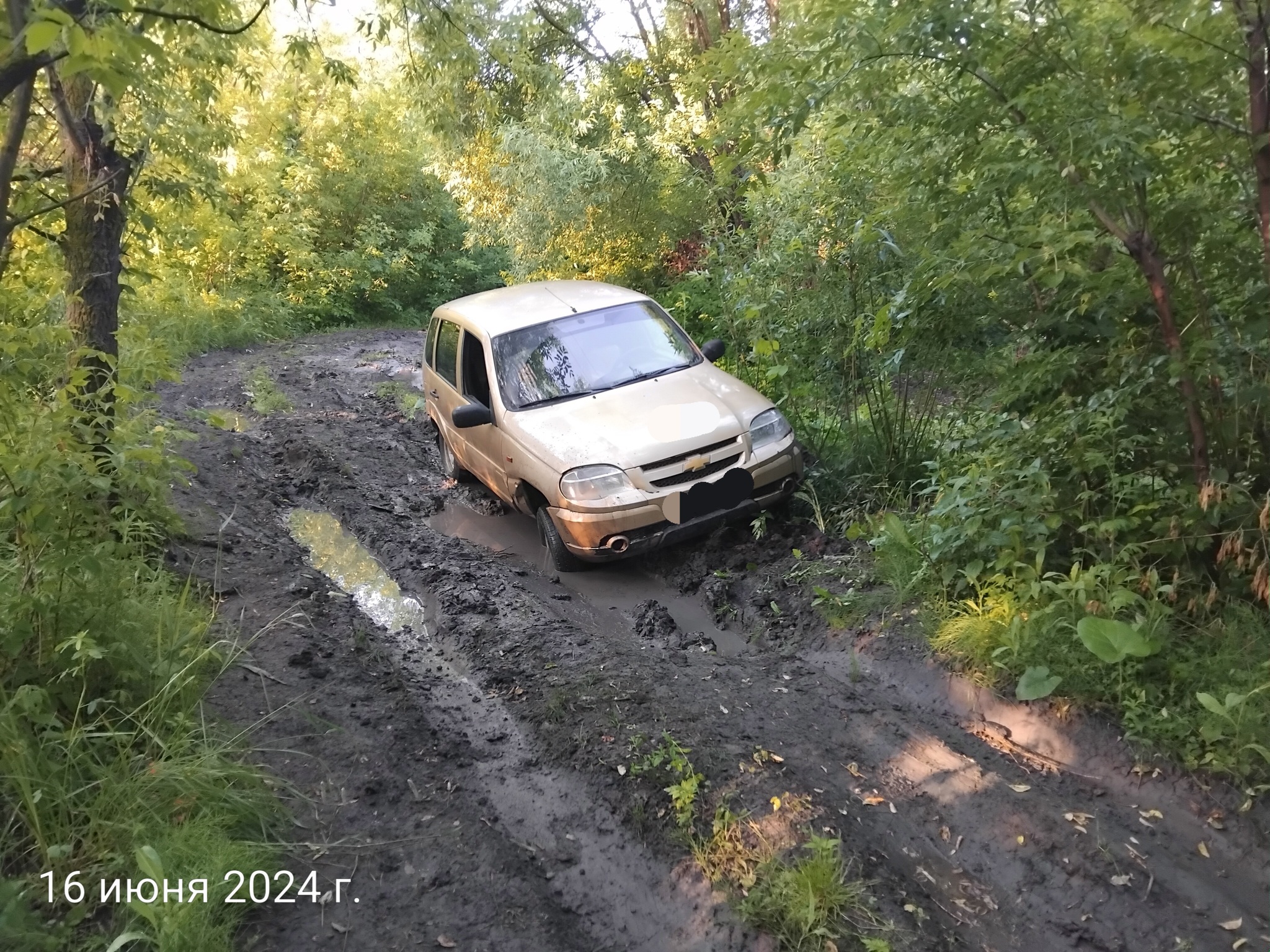 Fun nivovodov - My, Ulyanovsk, Auto, Driver, Road, Niva, Motorists, Longpost