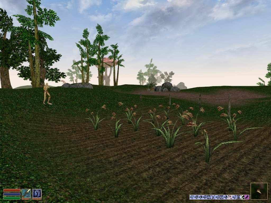 Arvel Plantation - My, Bethesda, The elder scrolls, The Elder Scrolls III: Morrowind, RPG, Tamriel, Vvardenfell, Plantation, Nostalgia, Screenshot, Longpost