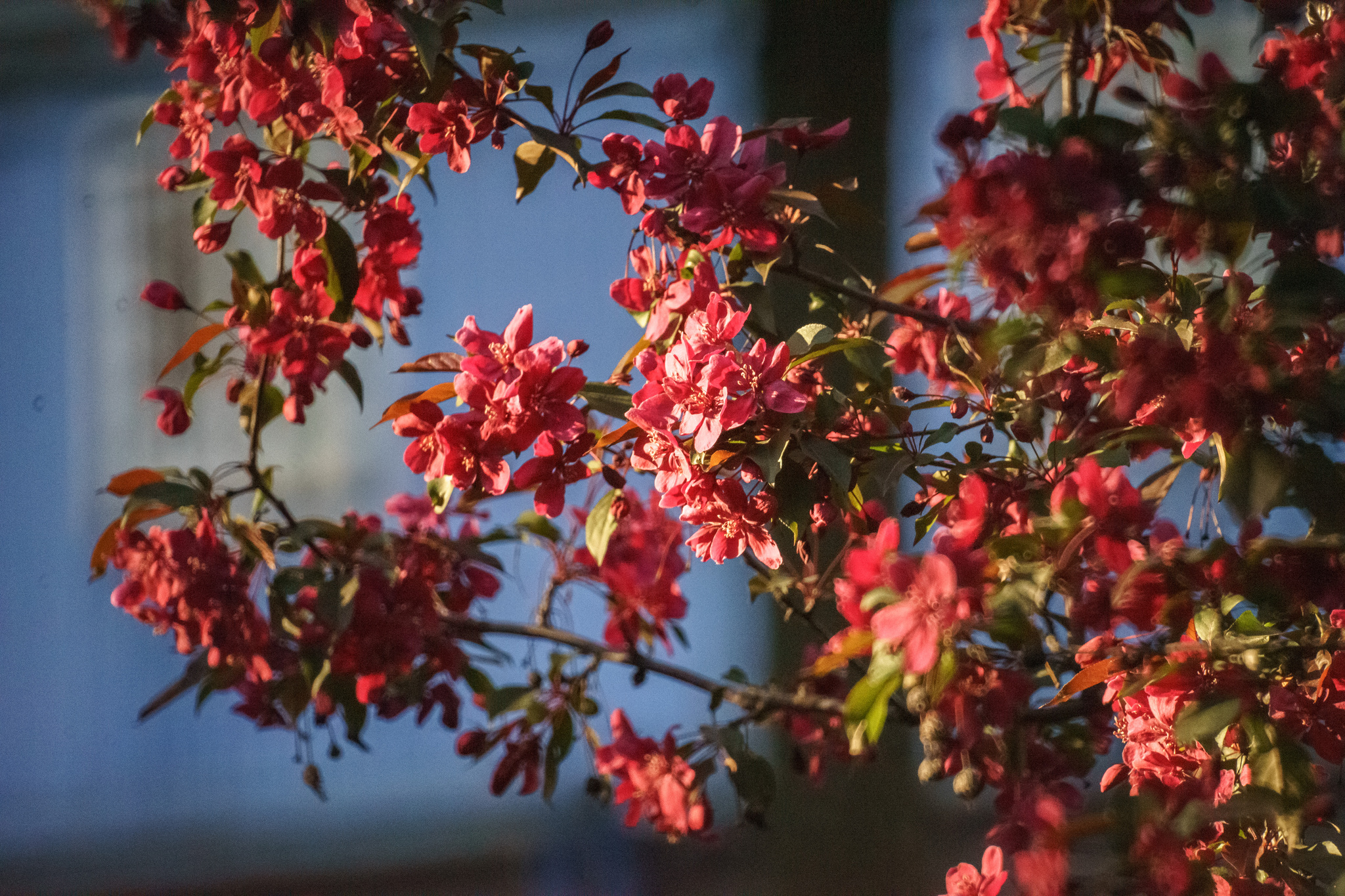 Very long-focus photos again - My, The photo, Town, Evening, Saint Petersburg, 500mm, Zm-5sa, Longpost