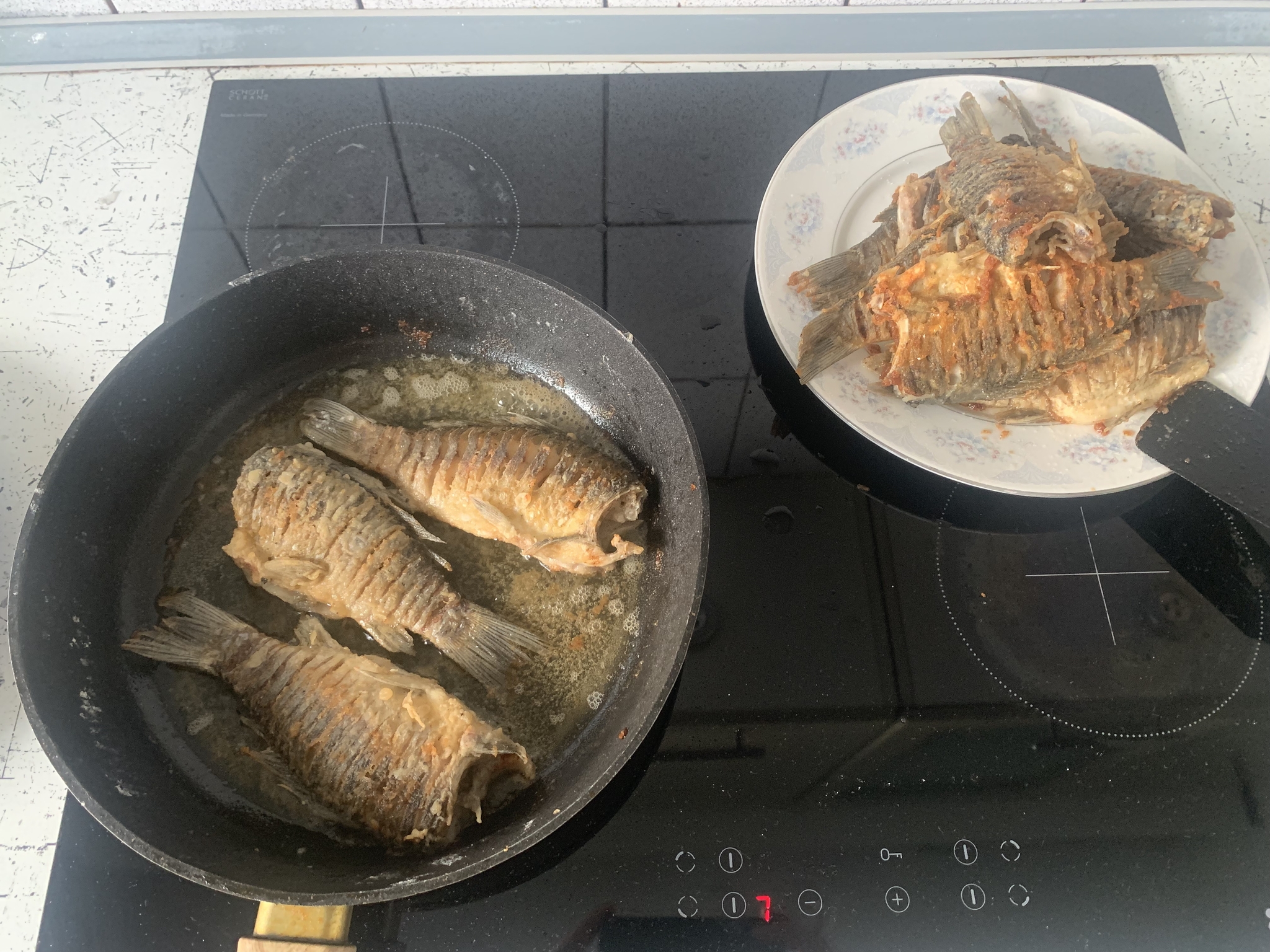 First trip this year for crucian carp) Successful. 30 tails in 2.5 hours. Gastronomic part - Kemerovo, Carp, Yummy, Fishing, Longpost