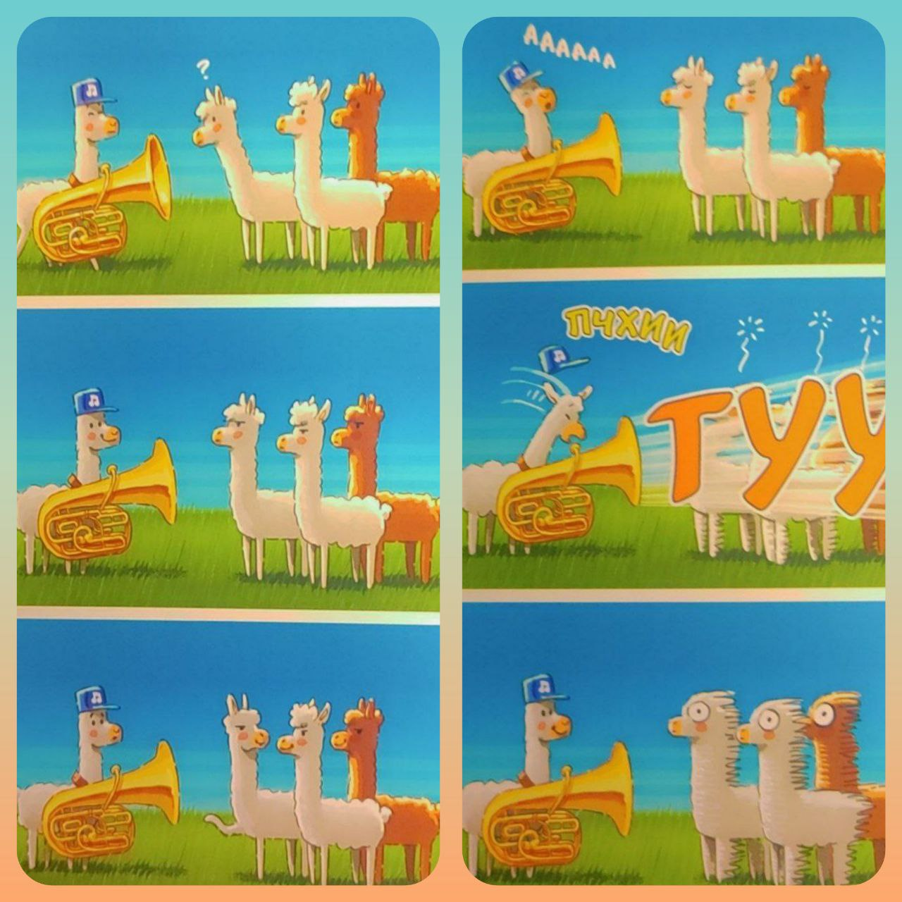 Board deck-building game Alpaca from the publisher. 4Games - My, Board games, Overview, Game Reviews, Longpost