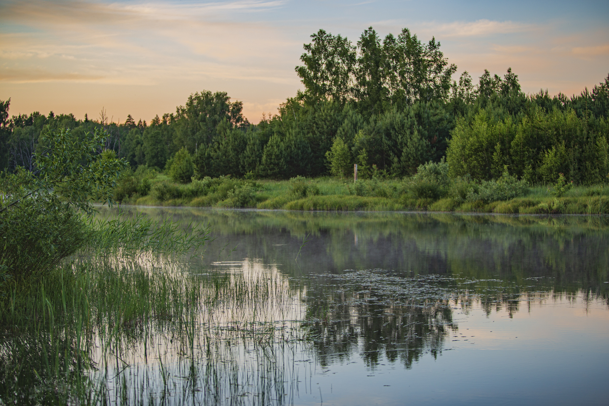 Summer sunsets - Moscow region, Yegoryevsky District, Landscape, Nature, Pond, Lake, Longpost