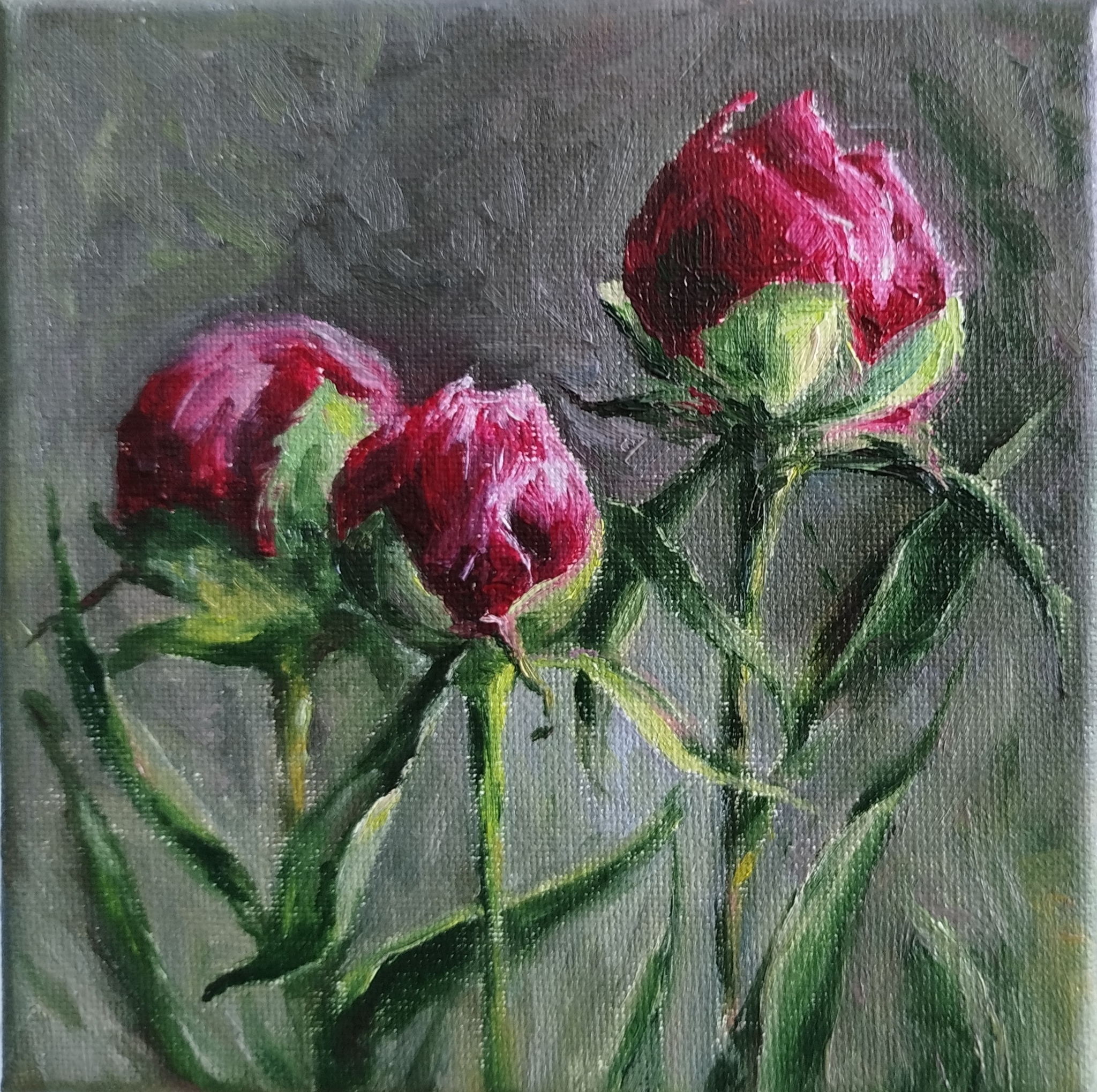 Peony time - My, Etude, Painting, Peonies, Art, Flowers, Painting