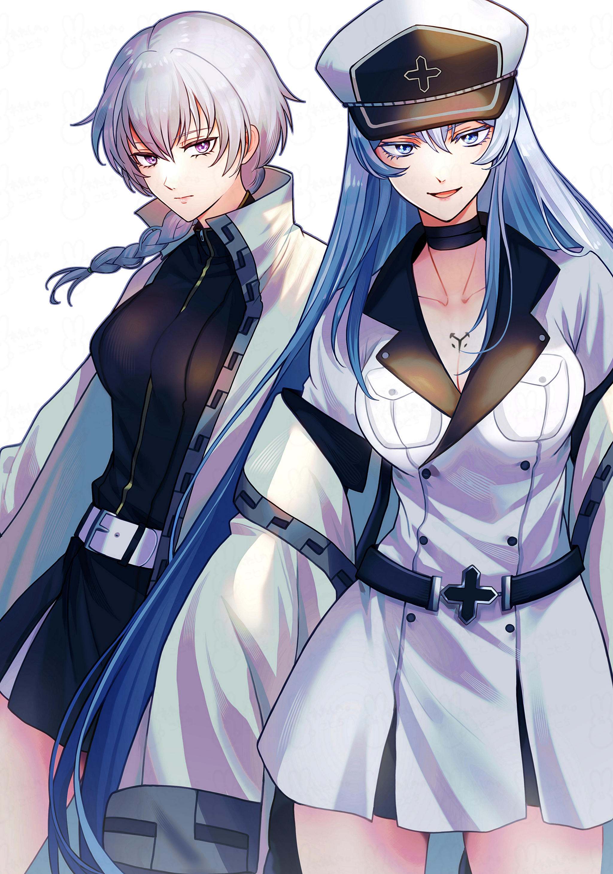 Two generals - Anime, Anime art, Esdeath, Akame ga kill