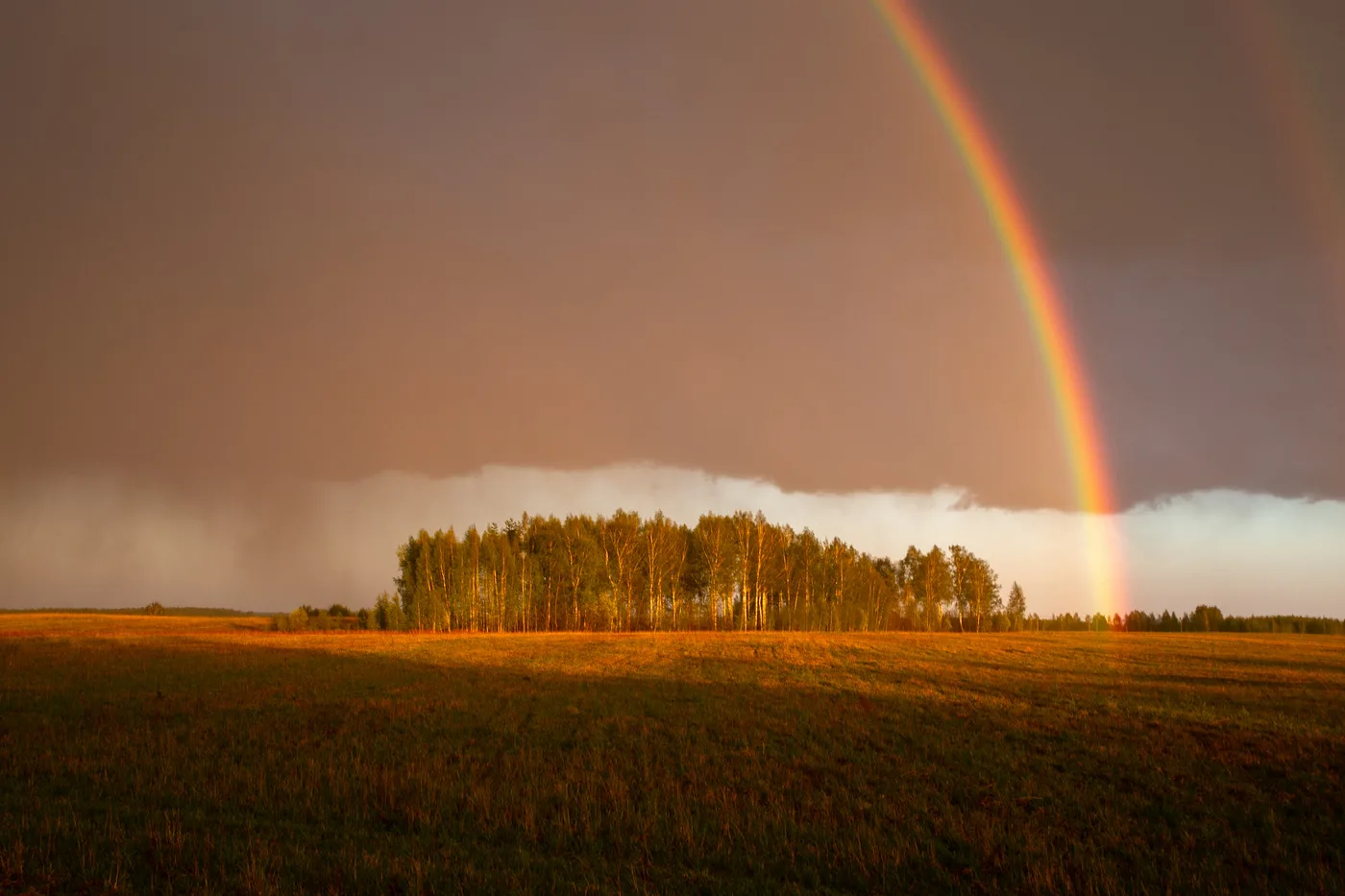 Rainbow - Rainbow, The photo