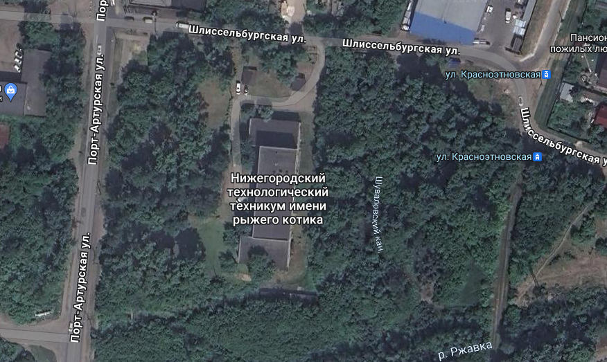 Interesting college, I'm thinking about going there - Nizhny Novgorod, Technical College, cat, Google maps