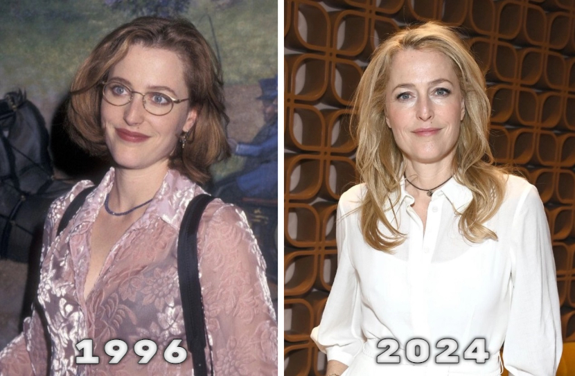 The special edition: Gillian Anderson