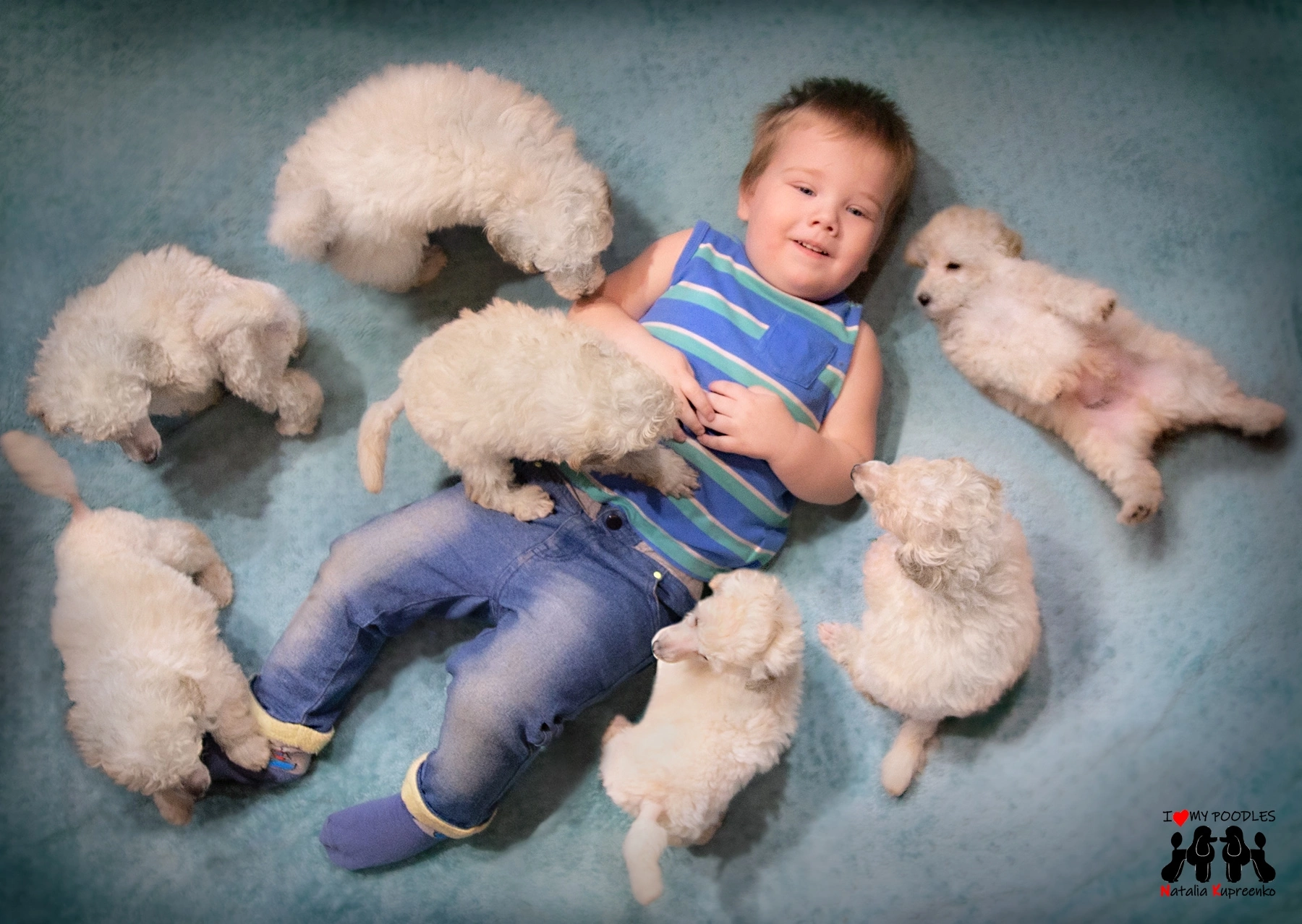 Puppies and children - My, Puppies, Children, Milota, Poodle, The photo, Dog