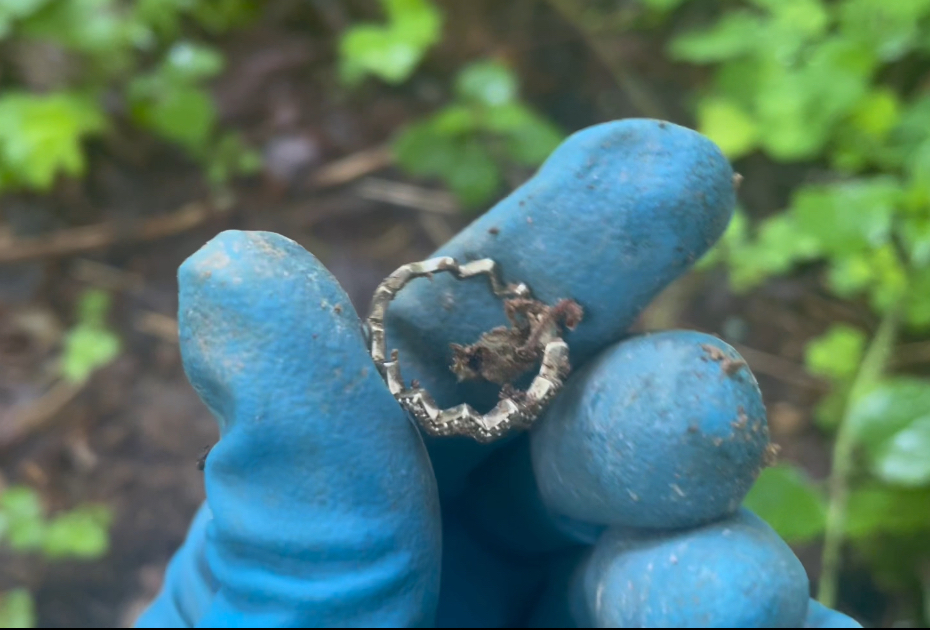 Treasures of forest paths: what can an old forest bring you joy? - My, Find, Point of view, Leisure, Treasure hunt, Numismatics, Hobby, Enthusiasm, Metal detector, Longpost