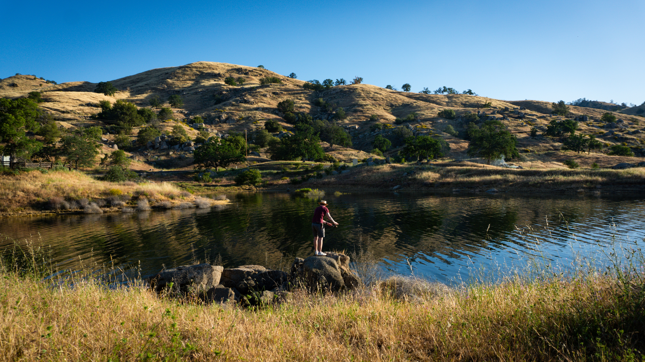 Camping in California - Millerton Lake - My, Relocation, Living abroad, Emigration, USA, California, Nature, The americans, Travels, Video, Vertical video, Longpost, The photo