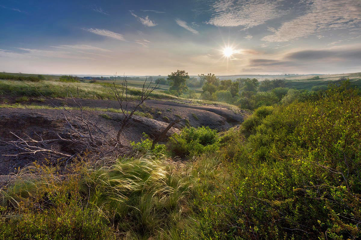 Kirikova beam - My, Steppe, Feather grass, Rostov region, Landscape, The photo