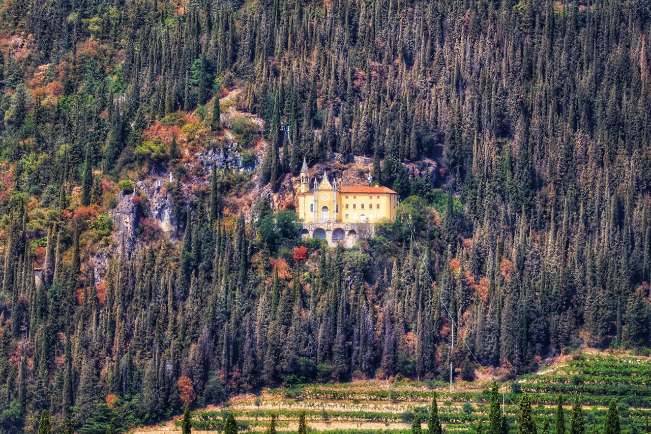 Veneto - My, The photo, Italy, Wine, Grape, Vineyard, Winery, Summer, Vacation, Longpost