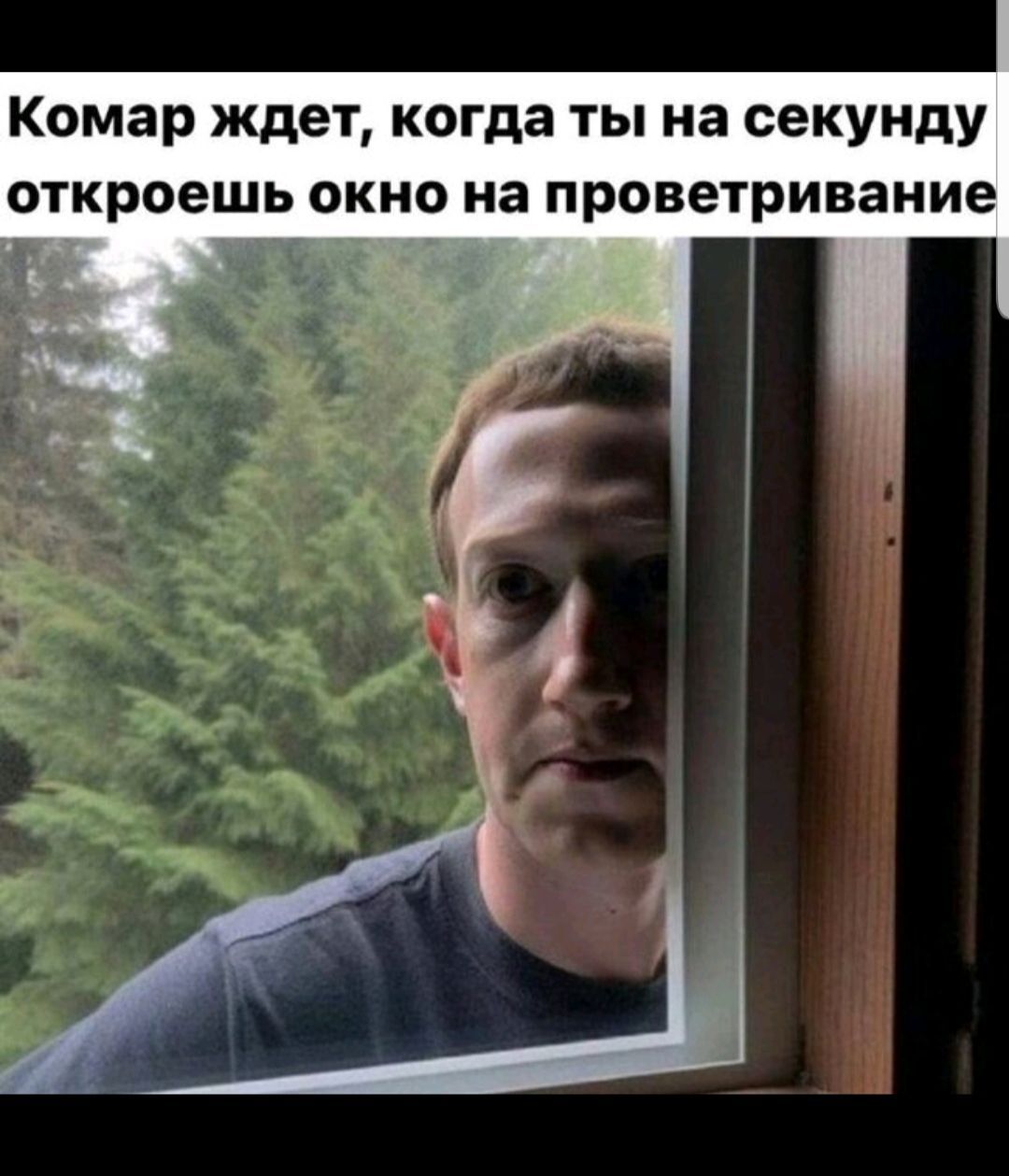 Задолбали комары | Пикабу