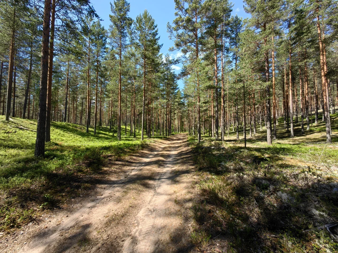 Sosnovo - Vyborg. Day two and three - My, A bike, Bike trip, Cycling, Nature, Leningrad region, Longpost