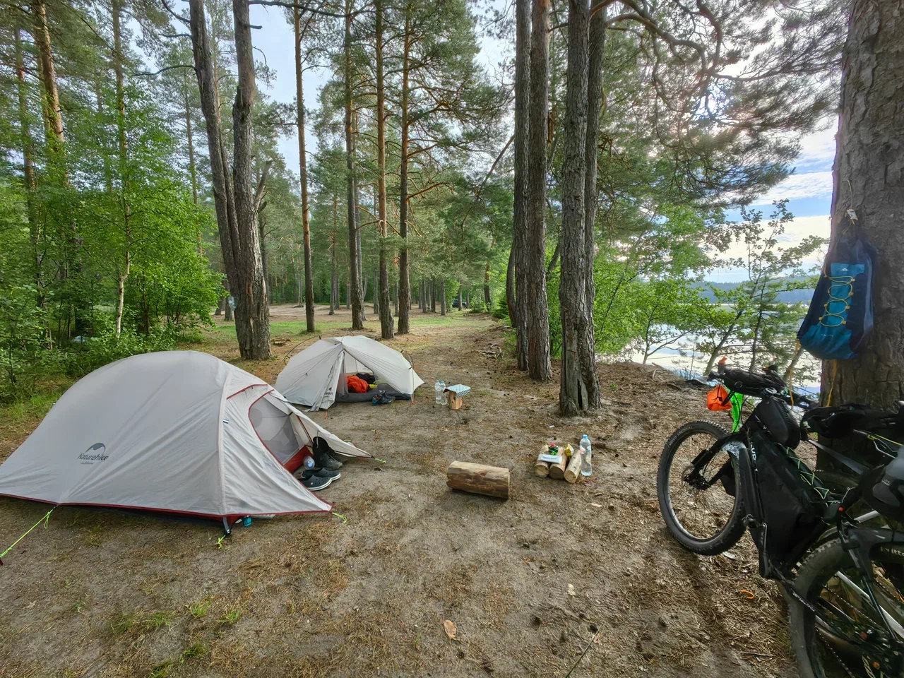 Sosnovo - Vyborg. Day two and three - My, A bike, Bike trip, Cycling, Nature, Leningrad region, Longpost