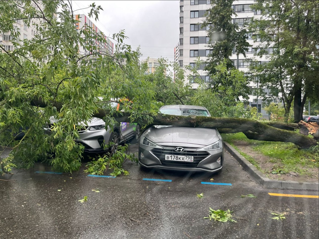 Consequences of today's storm in Moscow. The tree falling was caught on video. (06/20/2024) - Moscow, Youtube, Storm, Hurricane, Kuntsevo, Tree, Element, Video monitoring, Video, Longpost