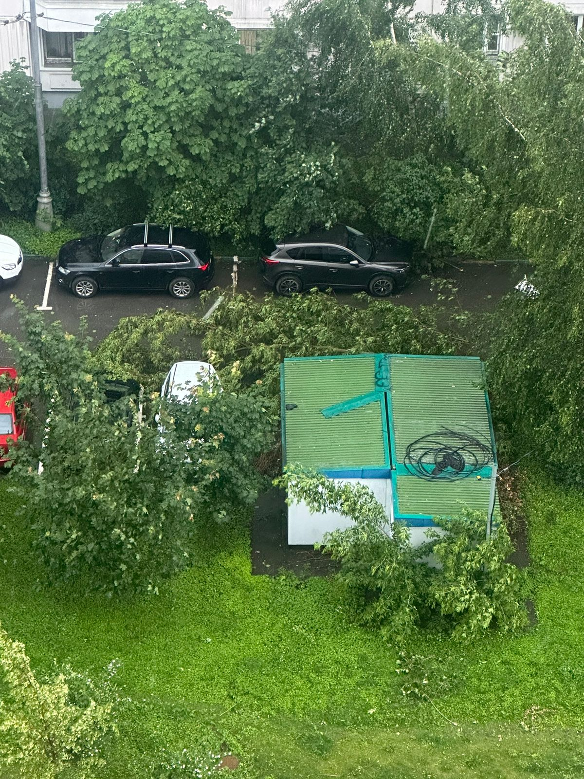 Consequences of today's storm in Moscow. The tree falling was caught on video. (06/20/2024) - Moscow, Youtube, Storm, Hurricane, Kuntsevo, Tree, Element, Video monitoring, Video, Longpost